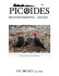 Picoides 22(2) - 2009 - Society of Canadian Ornithologists