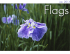 Flags, Issue #7 January, 2013 - Historic Iris Preservation Society