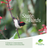 Fiji: State of Birds 2013