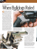 6-Shooter Revolver Compilation PDF