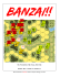 Banzai!! - Texas ASL