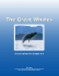 The Great Whales - Marine Mammal Institute