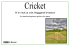 Cricket - it`s not a six legged insect
