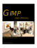 Gimp User`s Manual
