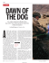 Dawn of the Dog - davidhgrimm.com