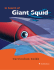In Search of the Giant Squid Curriculum Guide