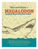 megalodon