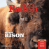 May 2013 Edition - Radish Magazine