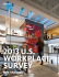 2013 U.S. Workplace Survey
