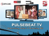 Pulsebeat media kit 2015