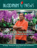 PDF - The Los Angeles Flower Market