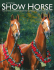 NSH Magazine_January 2010.qxd - National Show Horse Registry