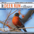 Deer Run - Great News Publishing