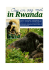 Face to face with mountain gorillas in Rwanda