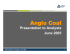 anglo coal - Anglo American