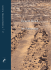 Desert Road Archaeology