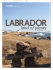 Labrador. - Atlantic Business Magazine
