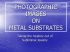 photographic images on metal substrates