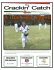 2012/2013 Club Sponsors - Coromandel Cricket Club