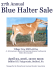 PA Blue Halter Sale, Bedford, PA