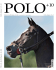 - Polo +10