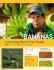 Banana - Scoilnet