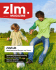 ZLM Magazine (PDF 4,8 MB)