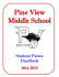 Pride - Pine View Middle School