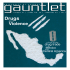 Violence - The Gauntlet