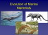 Evolution of Marine Mammals