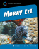 Moray eel PDF book