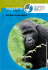 Magazine Gorilla - World Association of Zoos and Aquariums