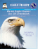 Eagle Flight Eagle Flight - Eagle Chapter Air Force Security Forces