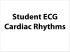 Student ECG Cardiac Rhythms