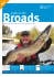 Helping you get the most out of fishing on the Broads