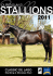 View 2011 Stallions - Thoroughbred Breeders Queensland