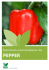 Pepper - Haifa