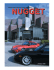 The NUGGET