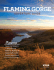 Featuring - Flaming Gorge Country!