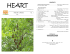 heart 1 - Nostalgia Press