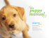 “The Puppy Manual” PDF