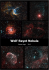 Wolf-Rayet Nebula
