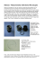 Reticles - Measurements with Stereo Microscopes