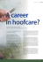 A Career in Hoofcare