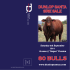 80 bulls - Dunlop Santas