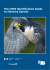 The CITES Identification Guide to Falconry Species