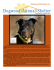 October 2012 Newsletter - Dogwood Animal Shelter