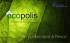 What is Ecopolis? - Plots in Chennai