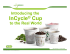 InCycle Cup