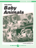 Teaching Baby Animals - Lerner Publishing Group